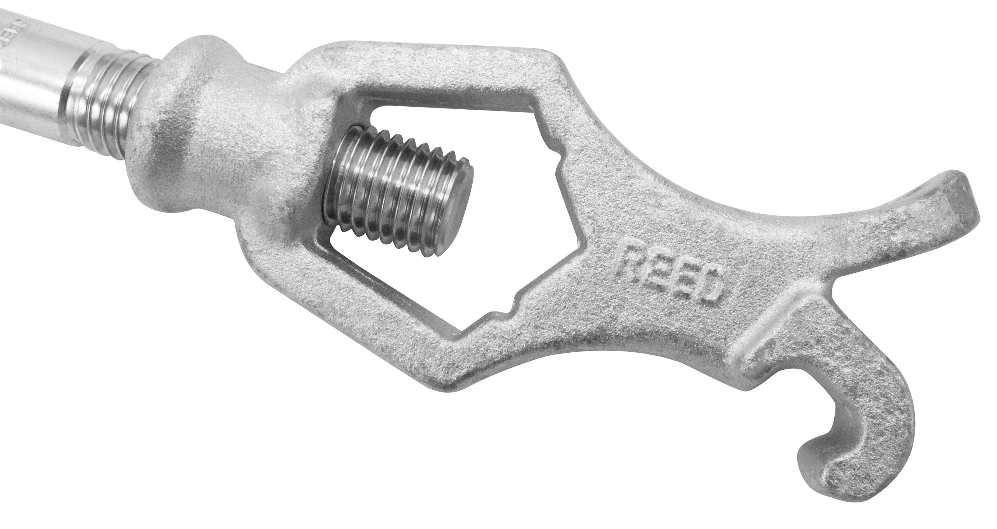 Reed 02295