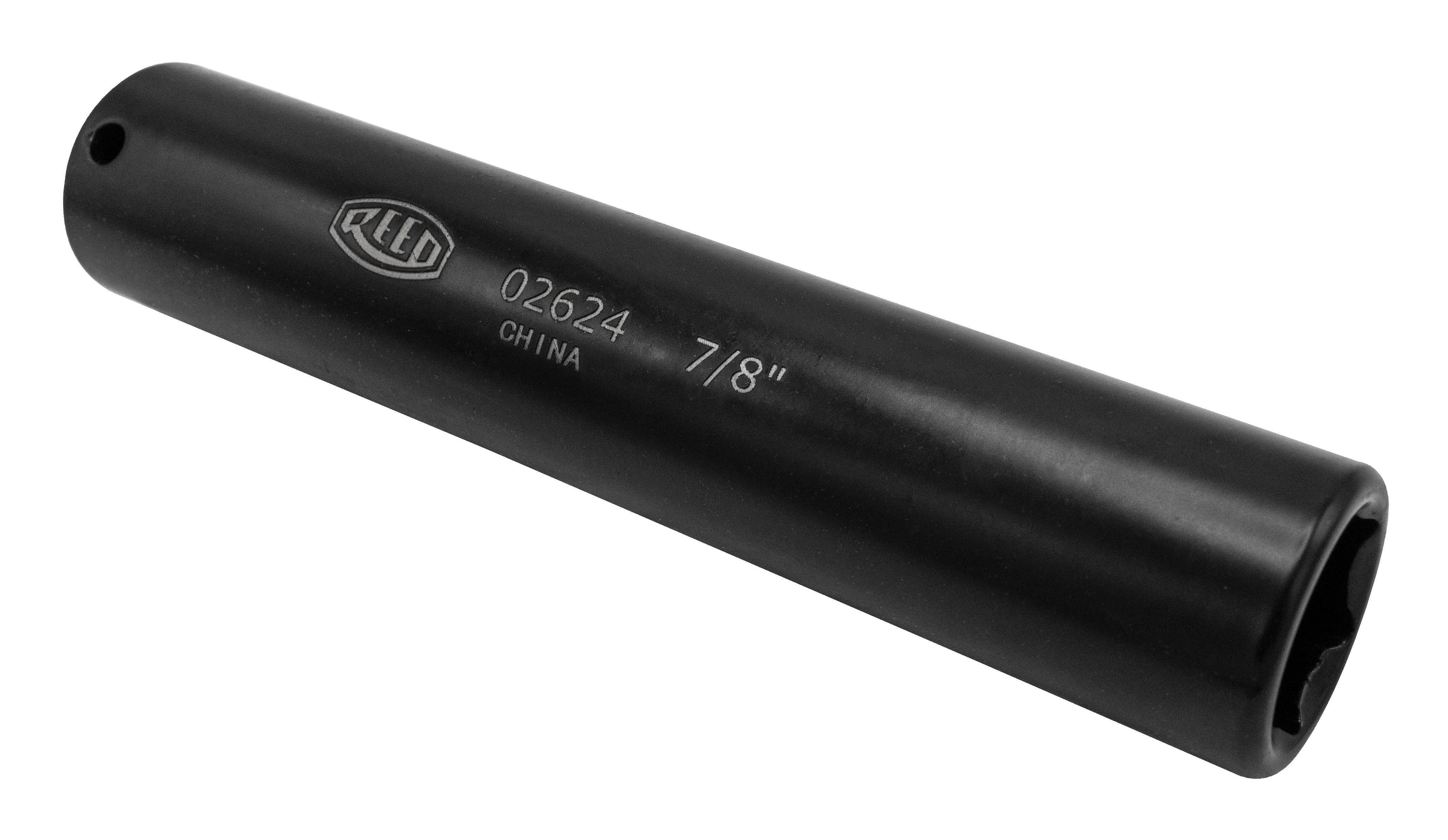 Reed 02624