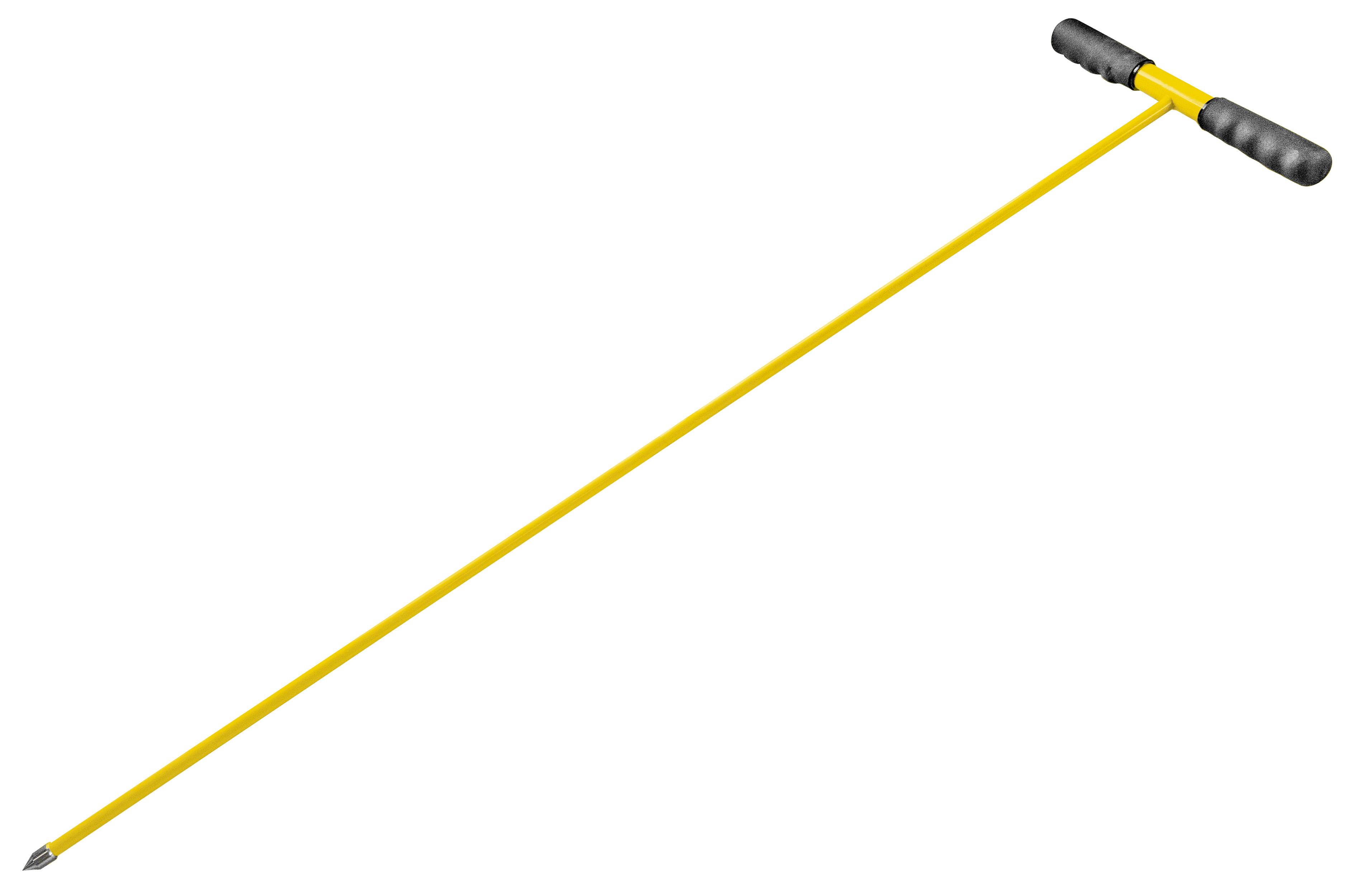 Reed 02960