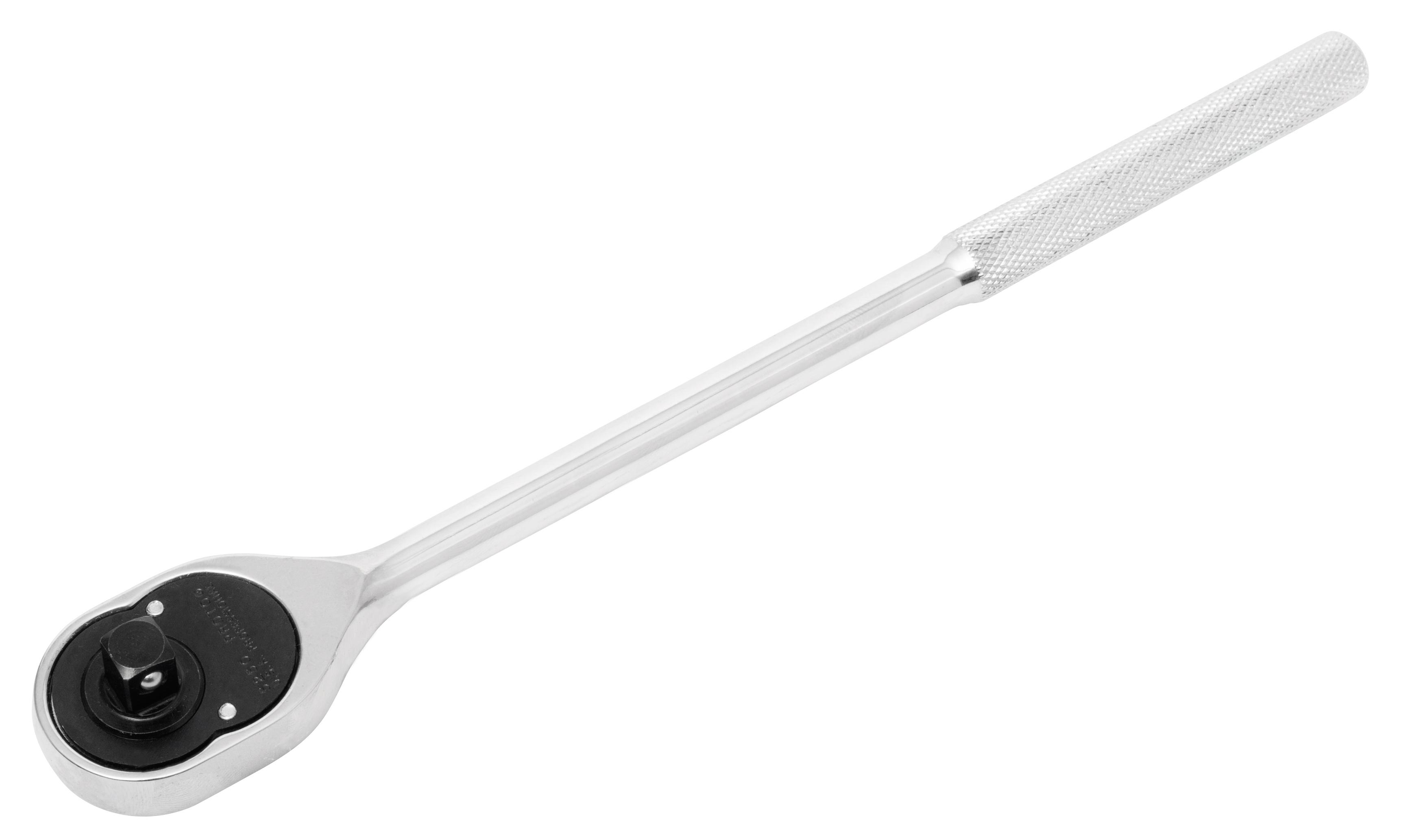 Reed 04428