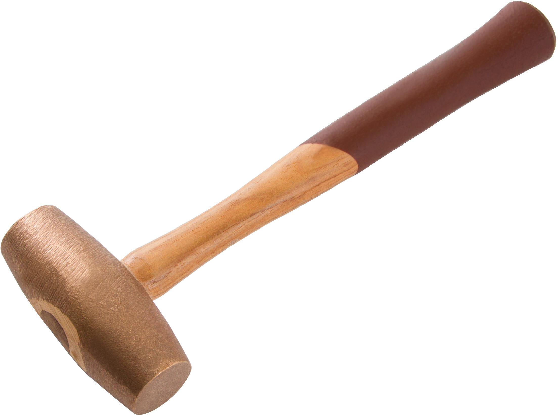Reed 06088