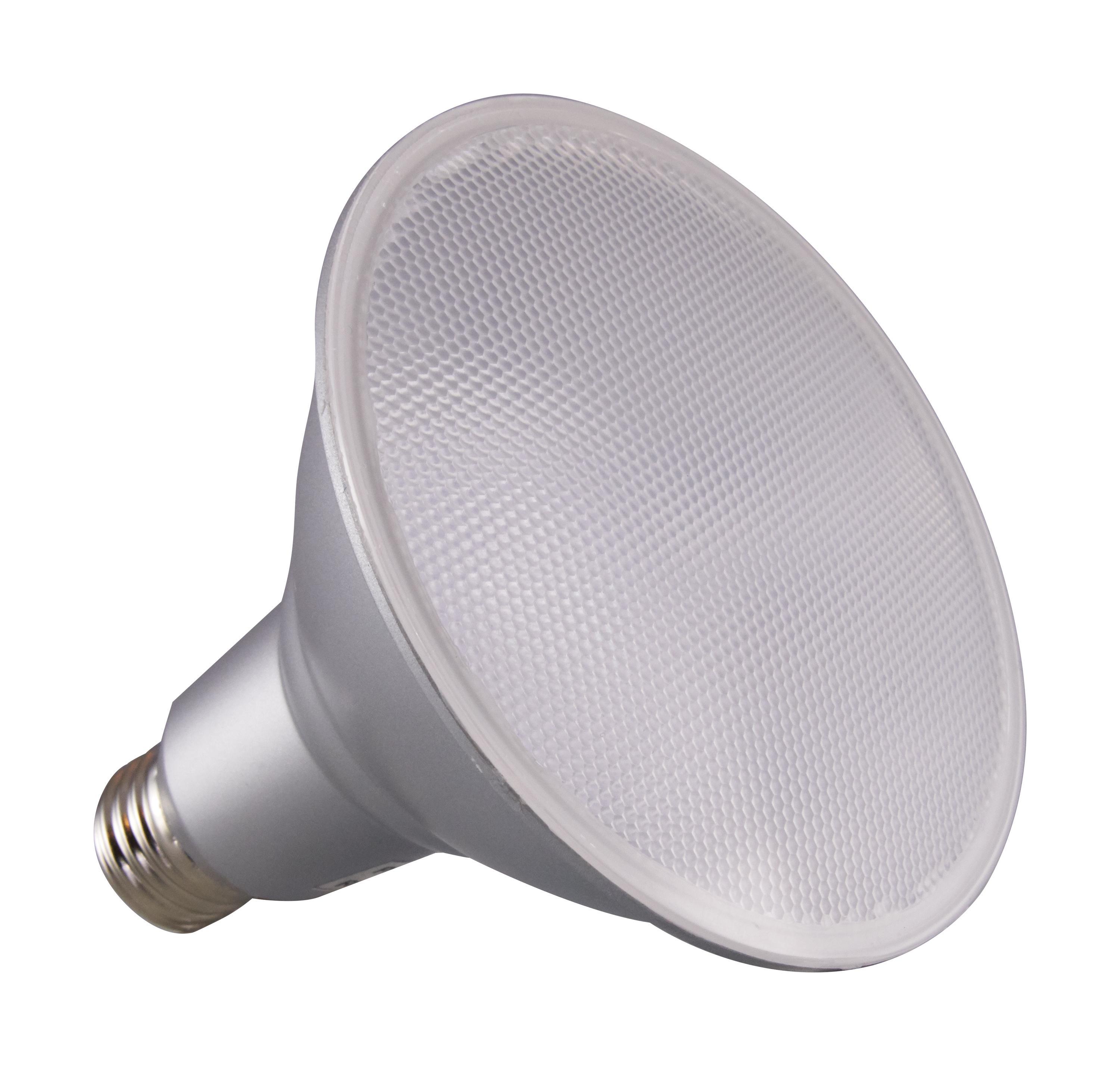 SATCO® S29446 500101
