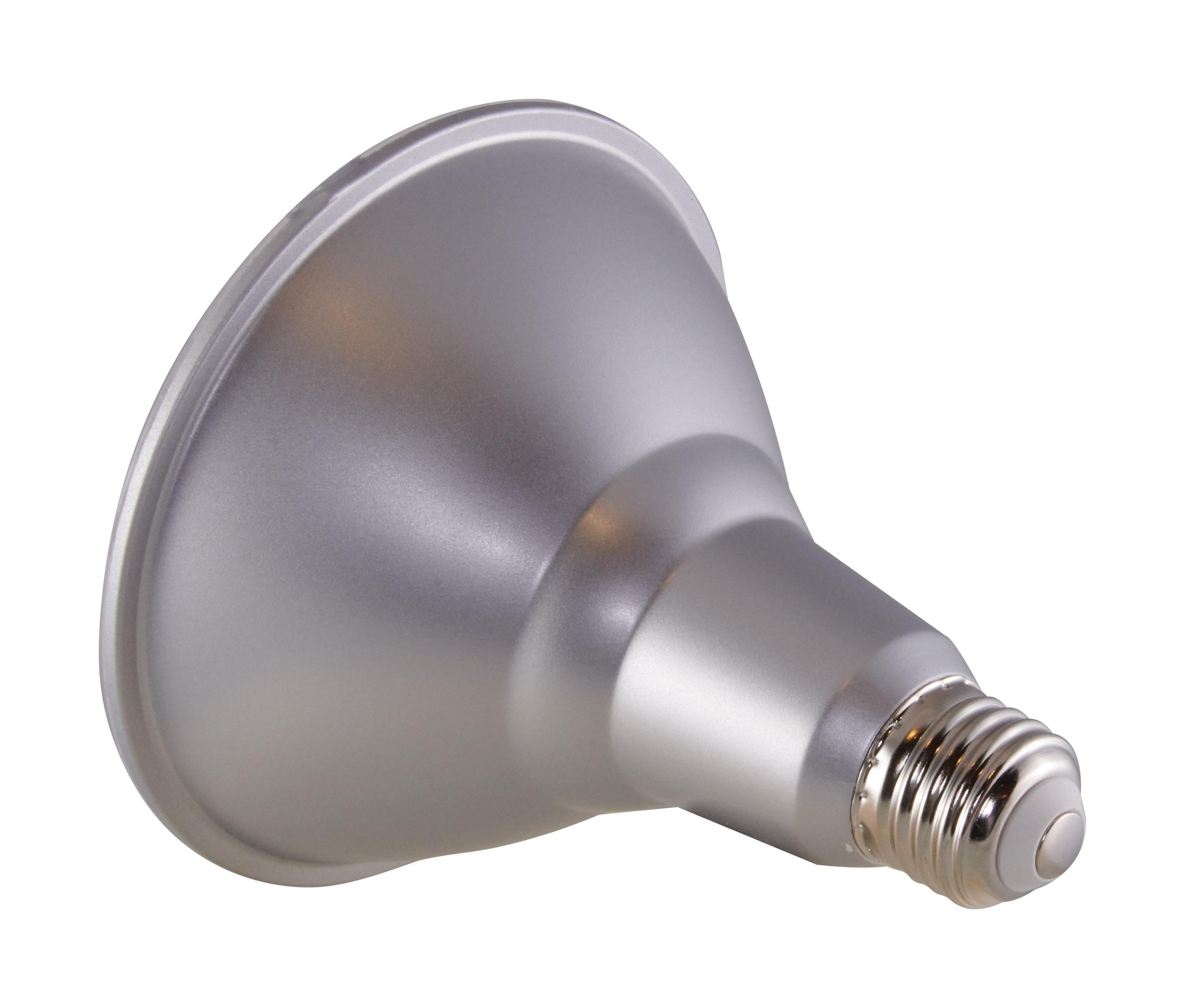 SATCO® S29446 500101