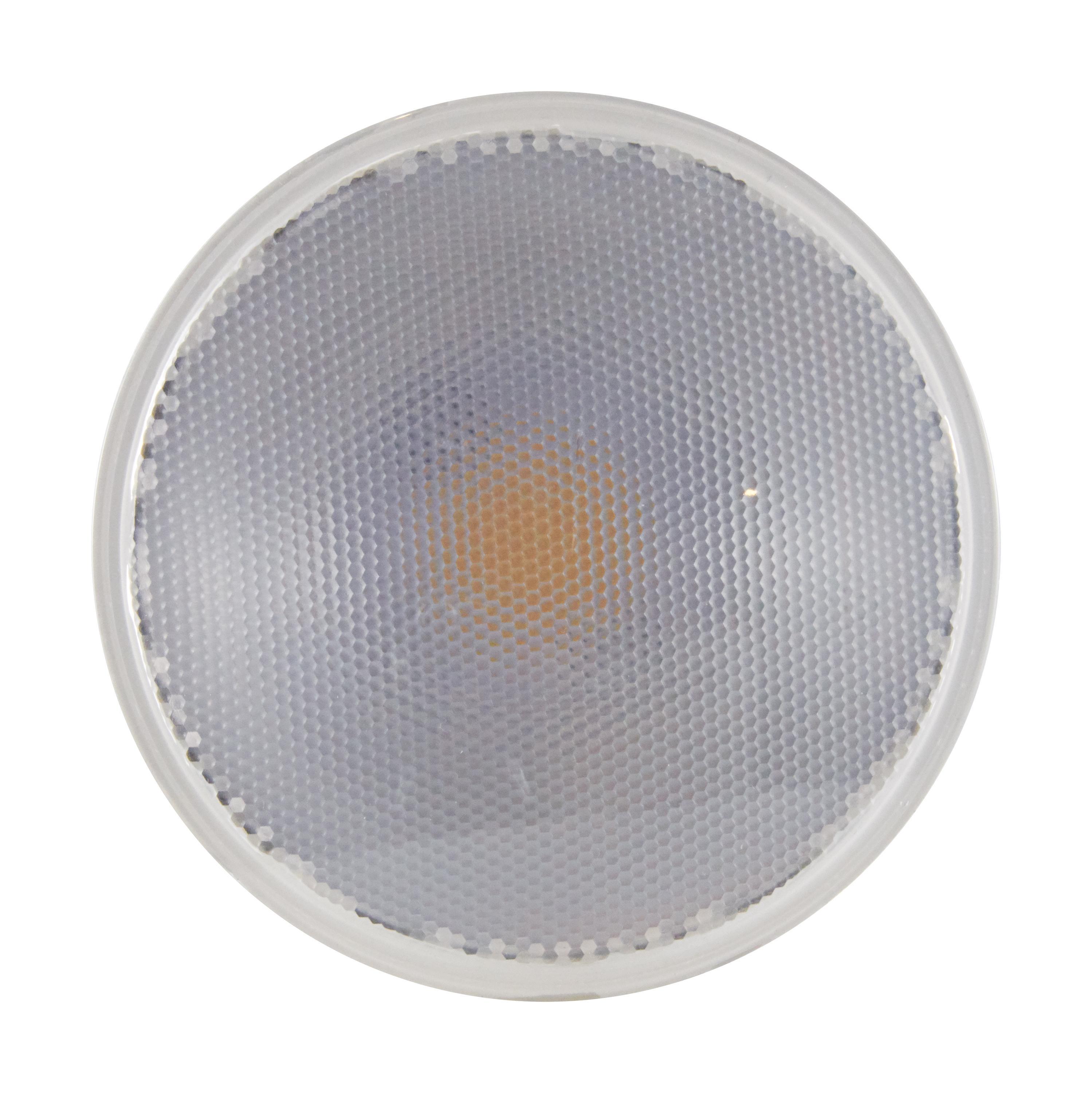 SATCO® S29446 500101