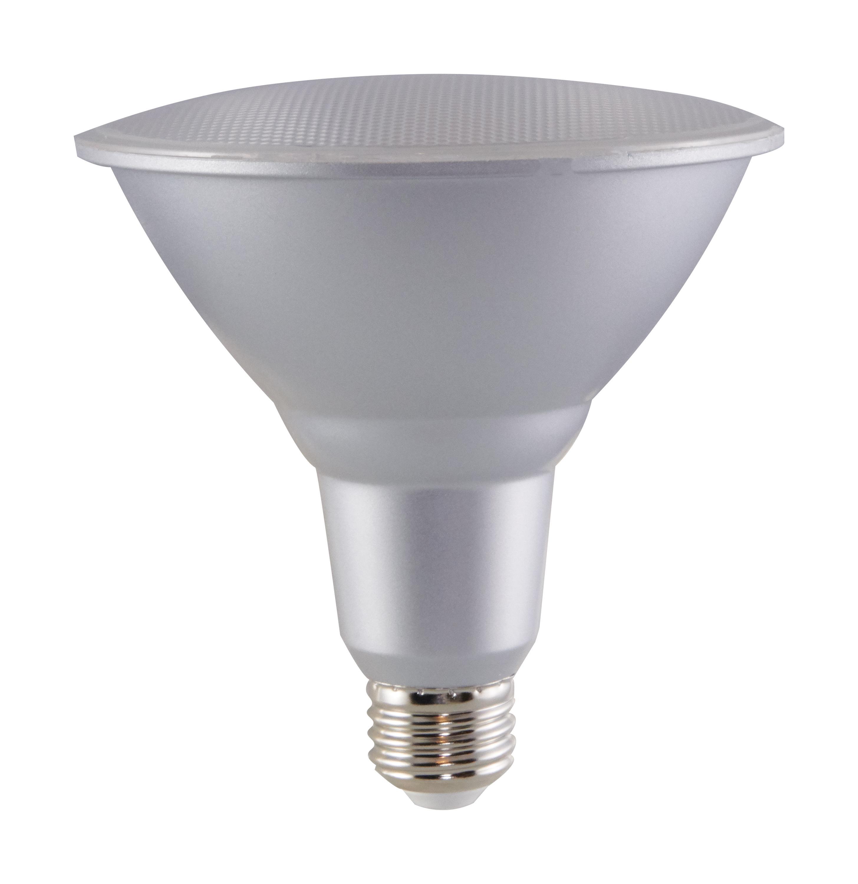 SATCO® S29446 500101