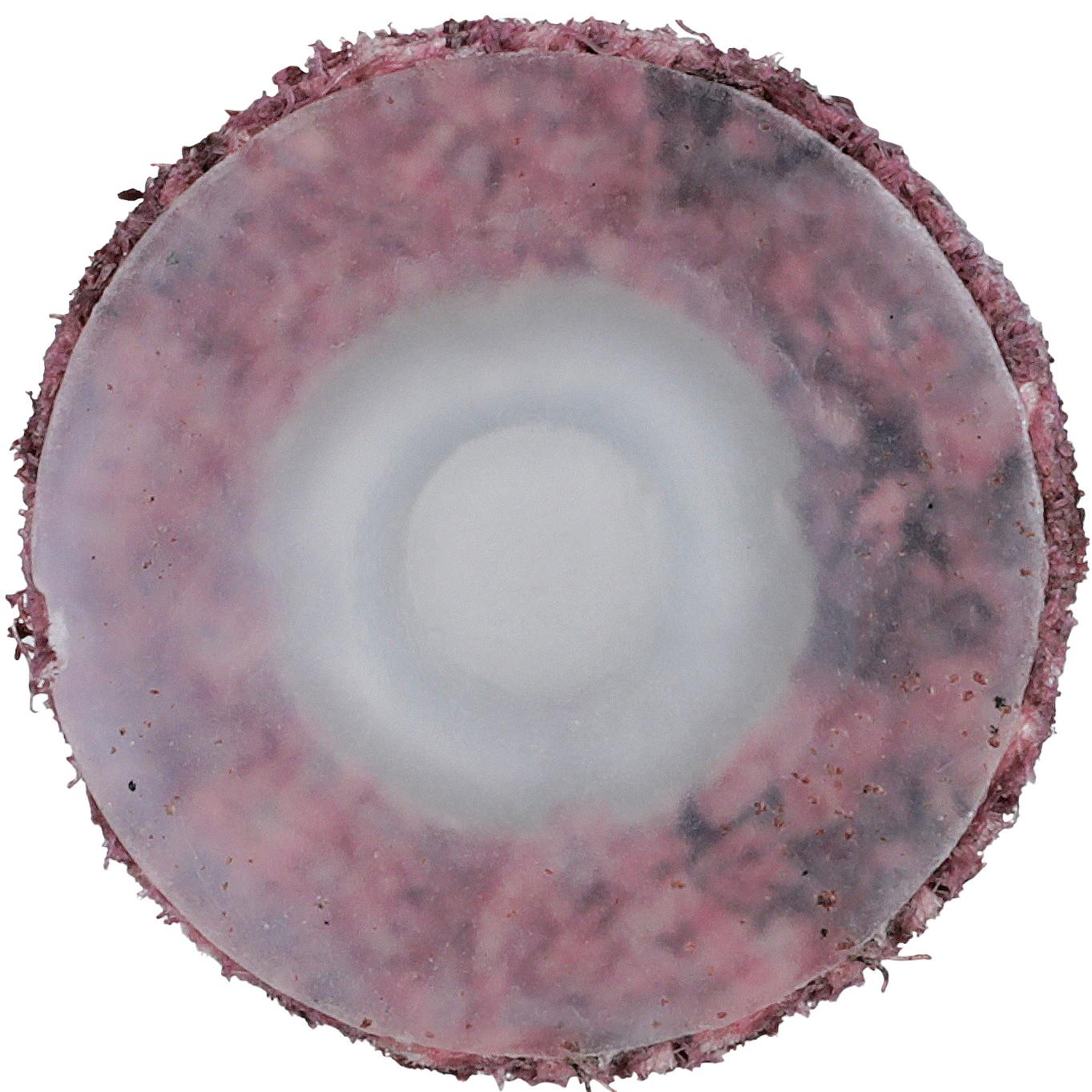 Scotch-Brite&trade; 7000045959 HS-DR Disc, 3 in Dia Disc, Medium Grade, Aluminum Oxide Abrasive, TR Attachment