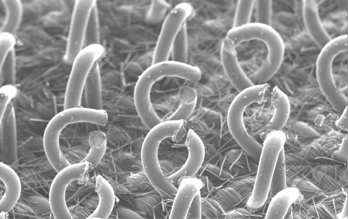 3M&trade; 7100054377 MMM 82566