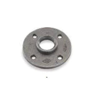 Malleable Iron Threaded Flanges