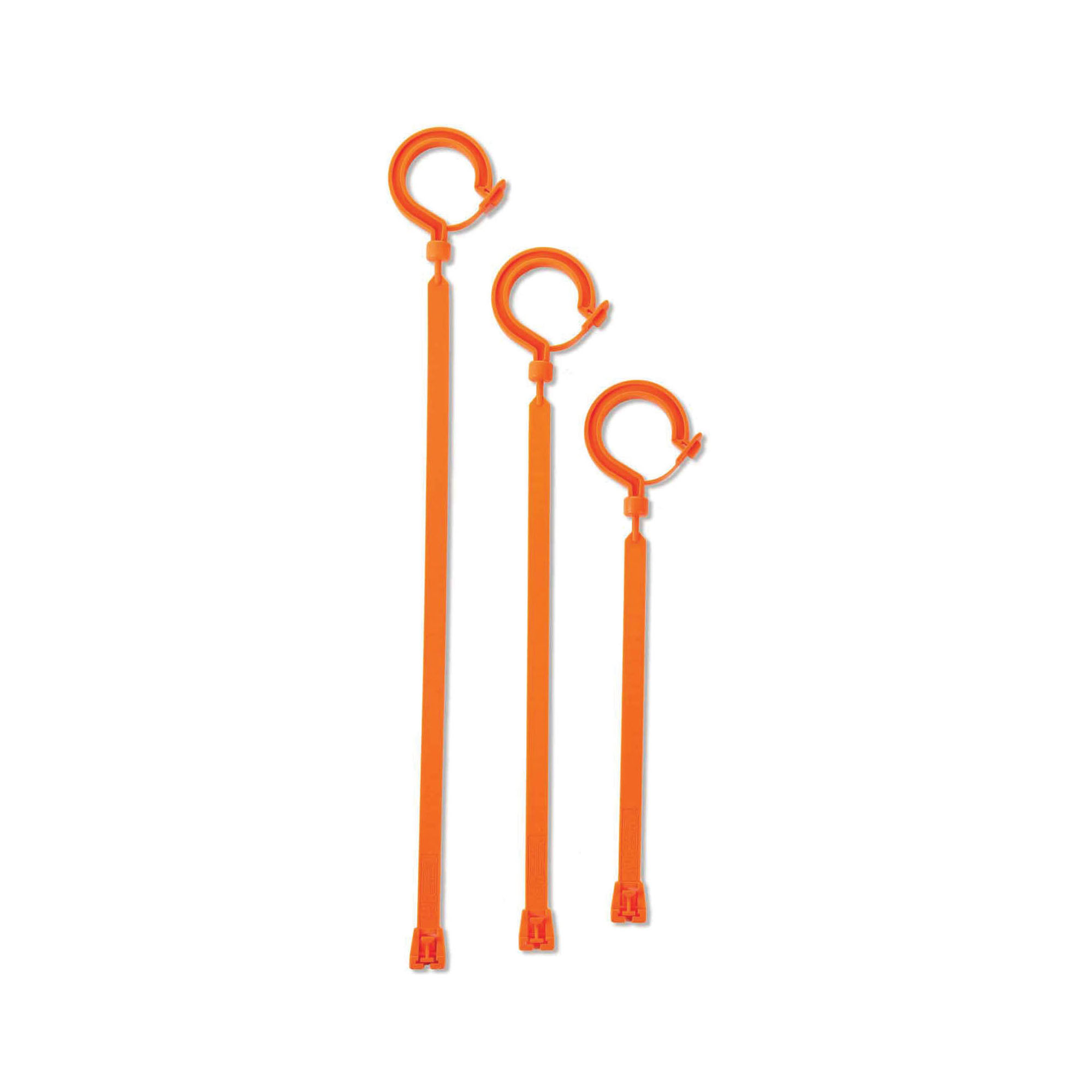 Squids® 33403