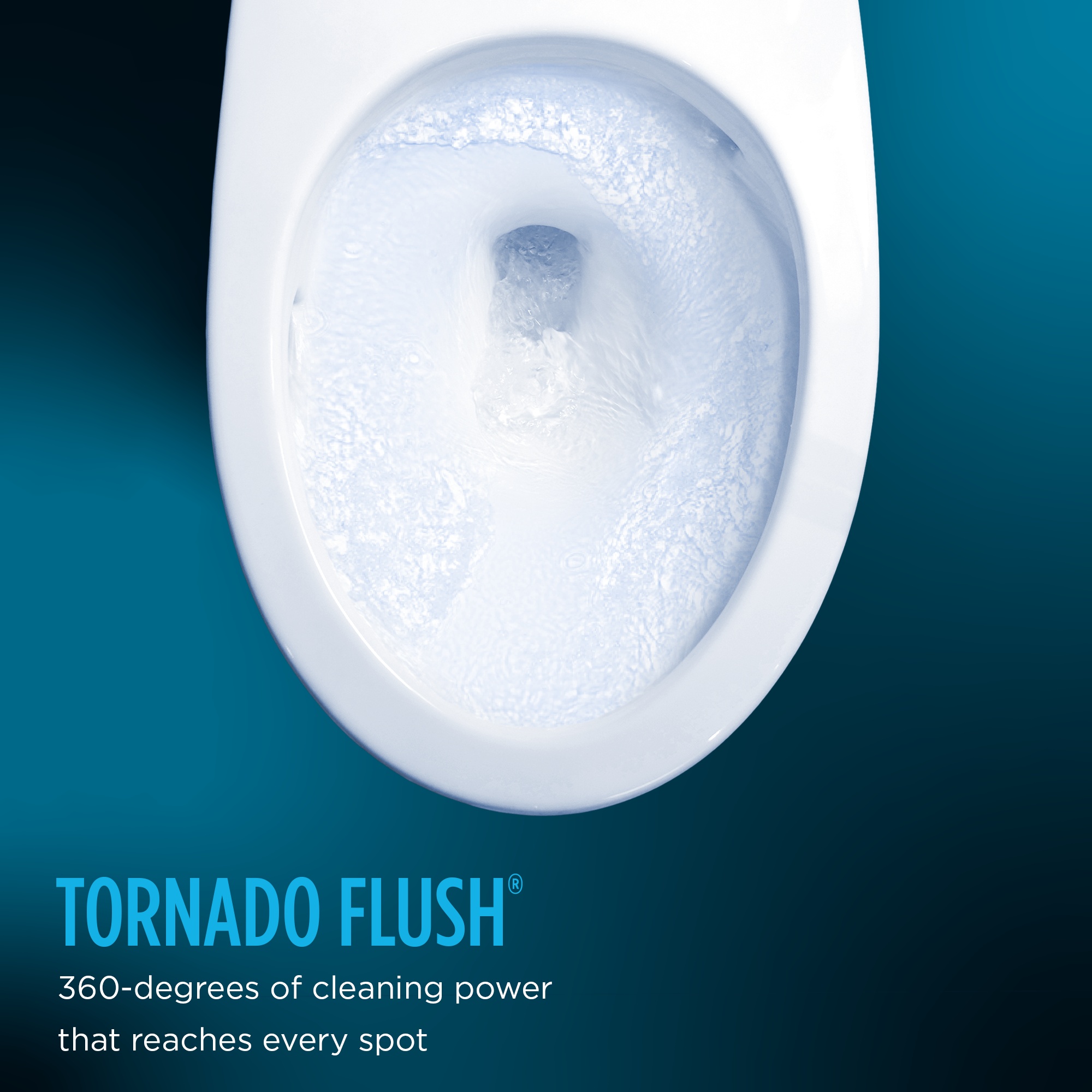 Toto&reg; MS974224CEFG#01 28145