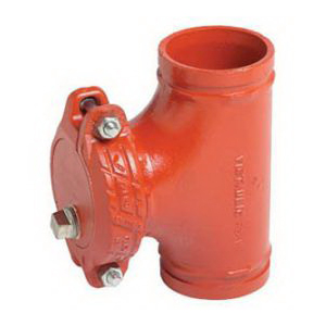 Victaulic® 250669