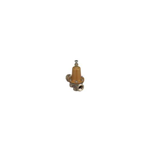 WATTS® 507273