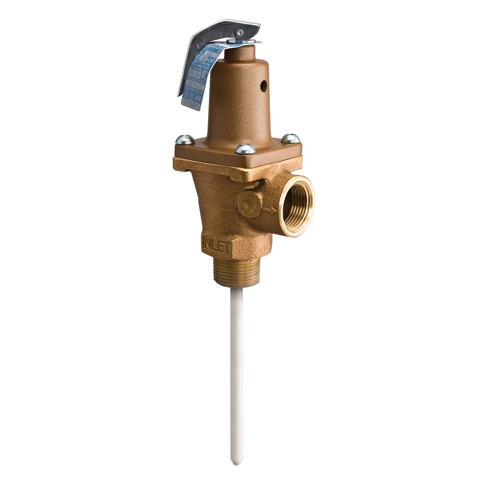 WATTS® 545665