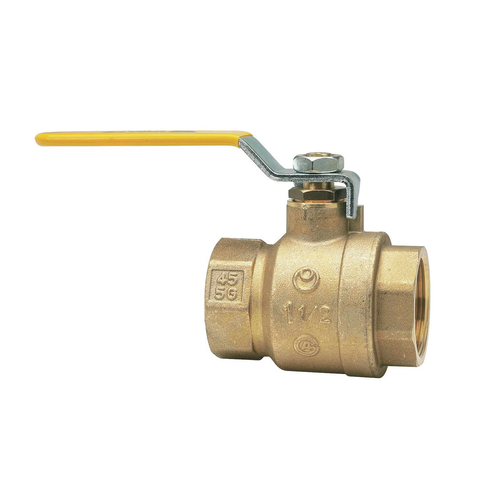 WATTS® 0555105 51963
