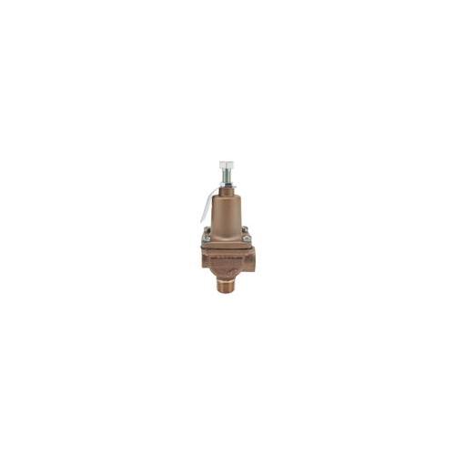 WATTS® 348984