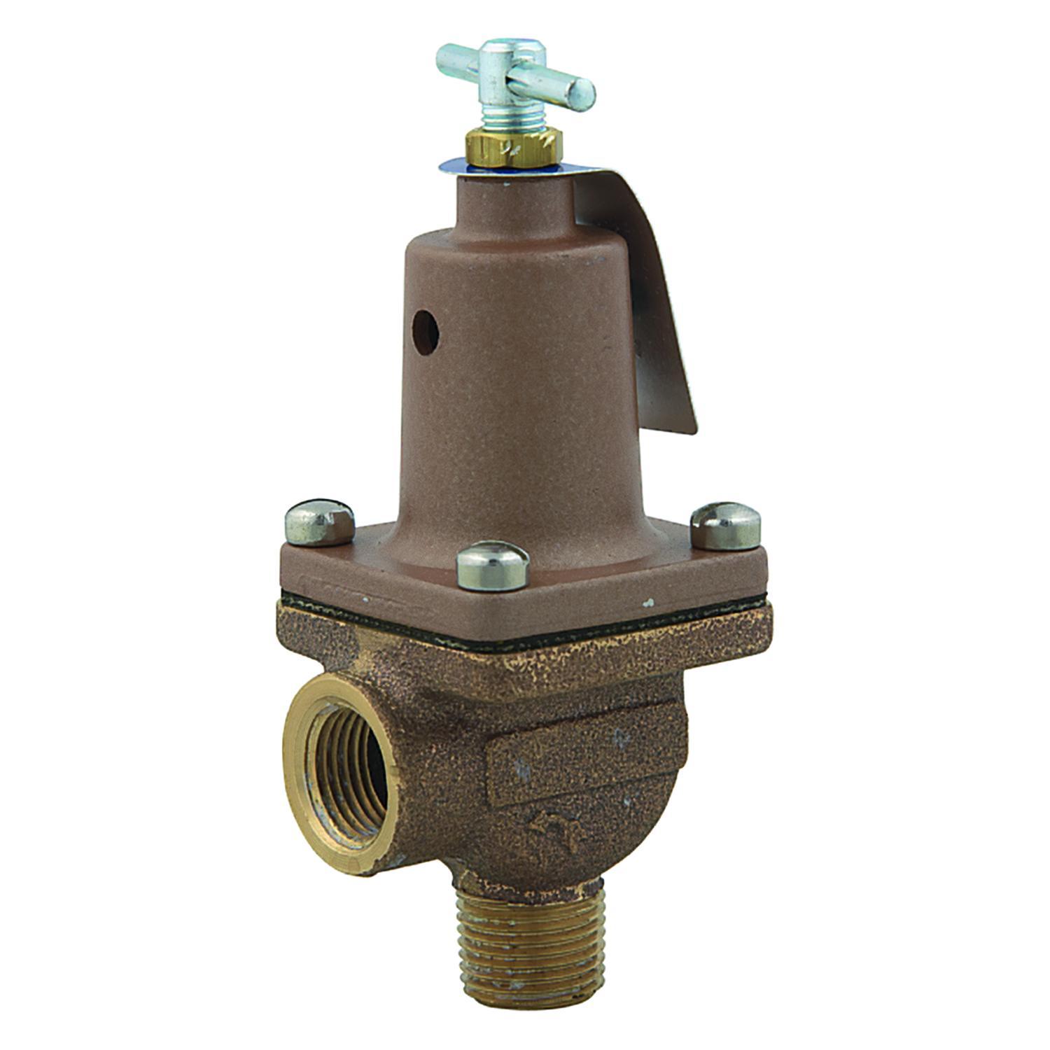 WATTS® 596832