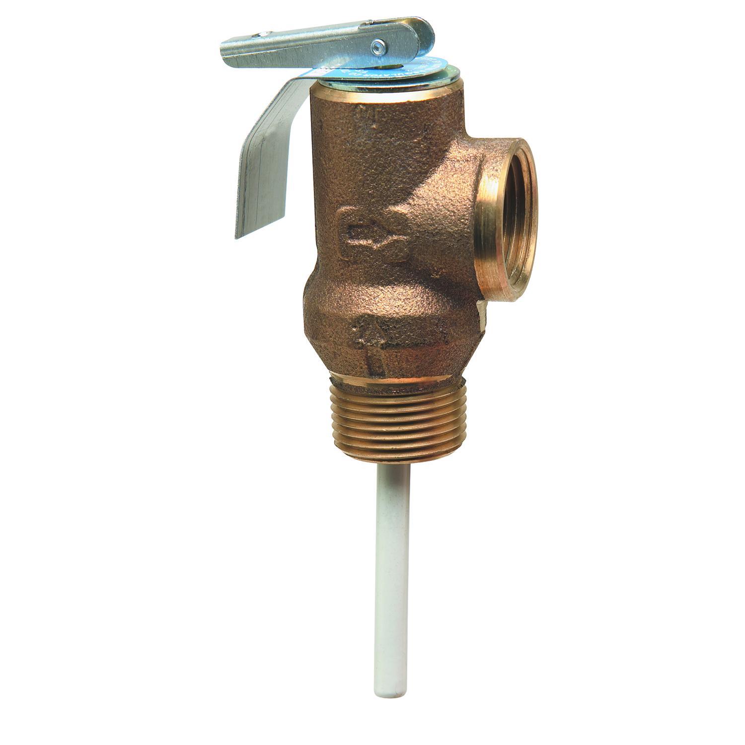 WATTS® 585991