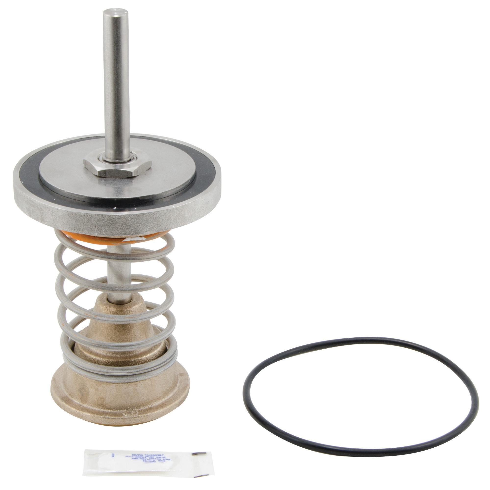 WATTS® 393173