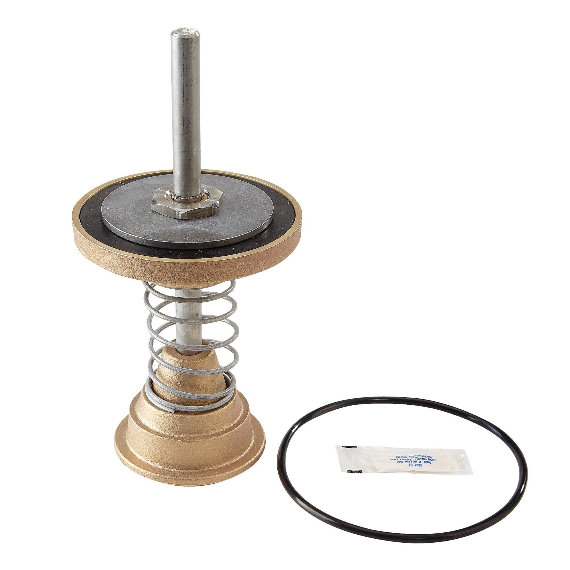 WATTS® 393174