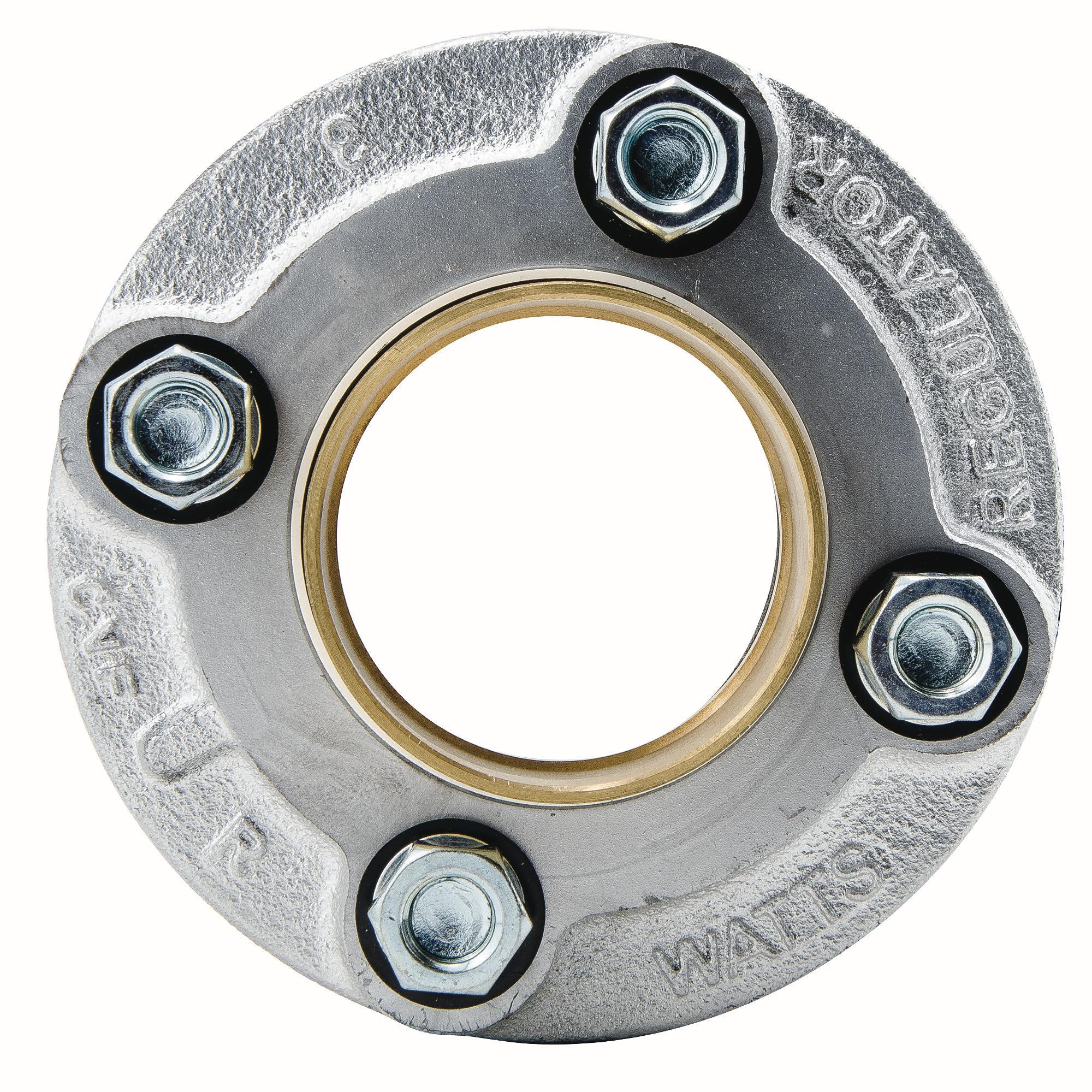 WATTS® 574125