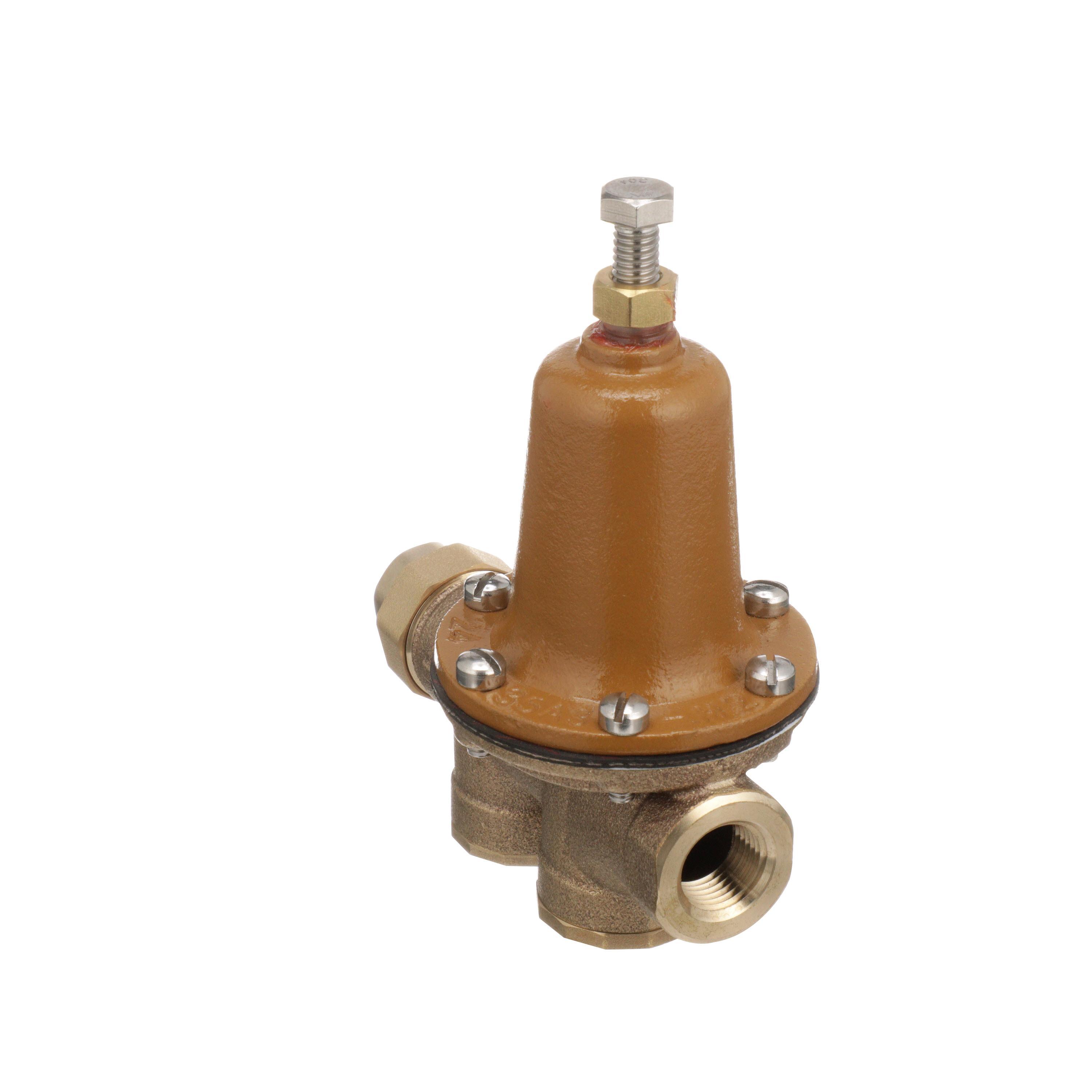 WATTS® 517100