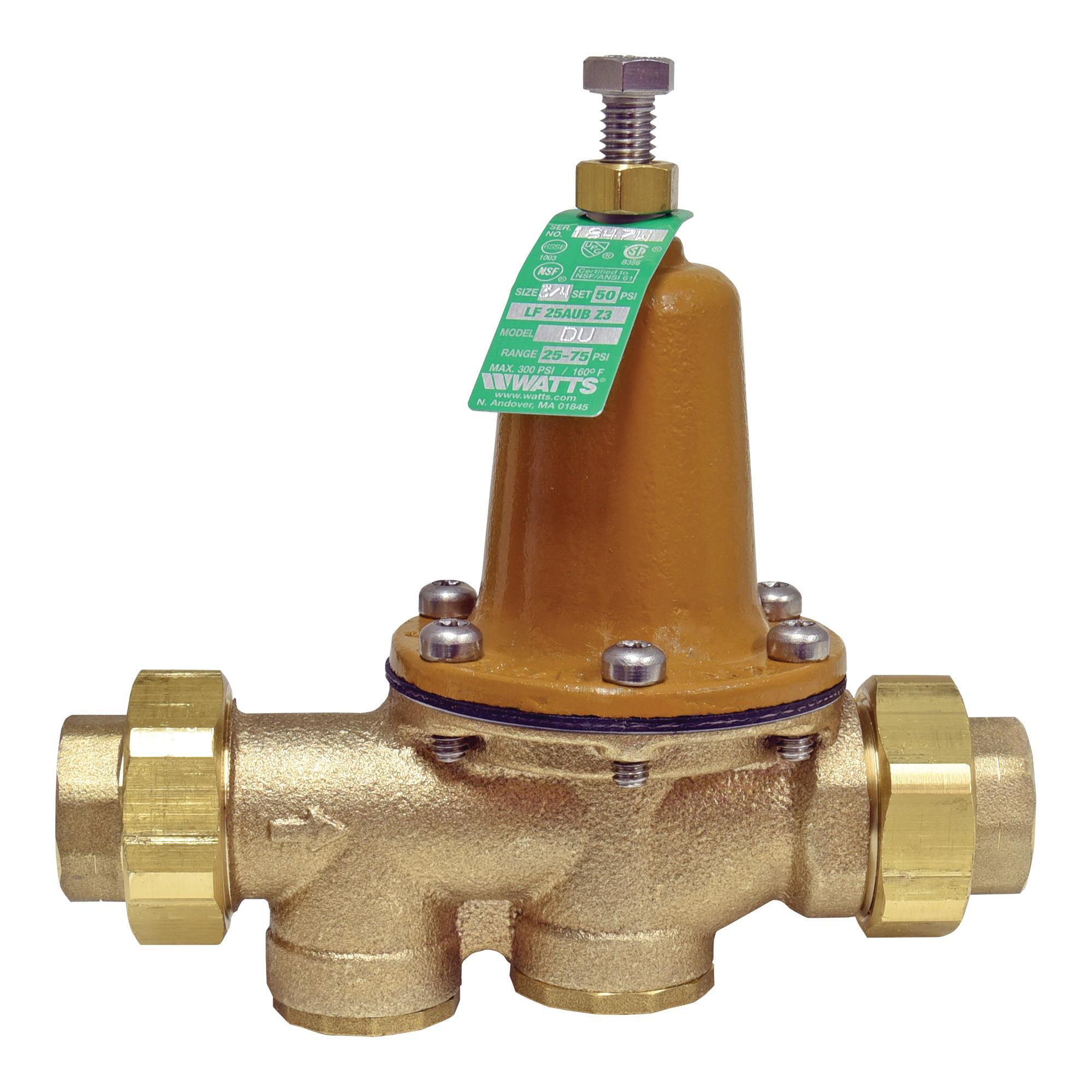 WATTS® 510875