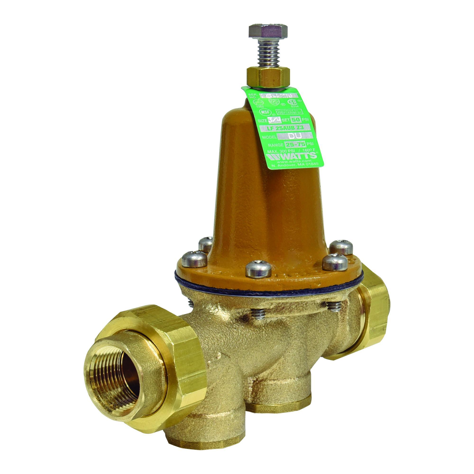 WATTS® 510875