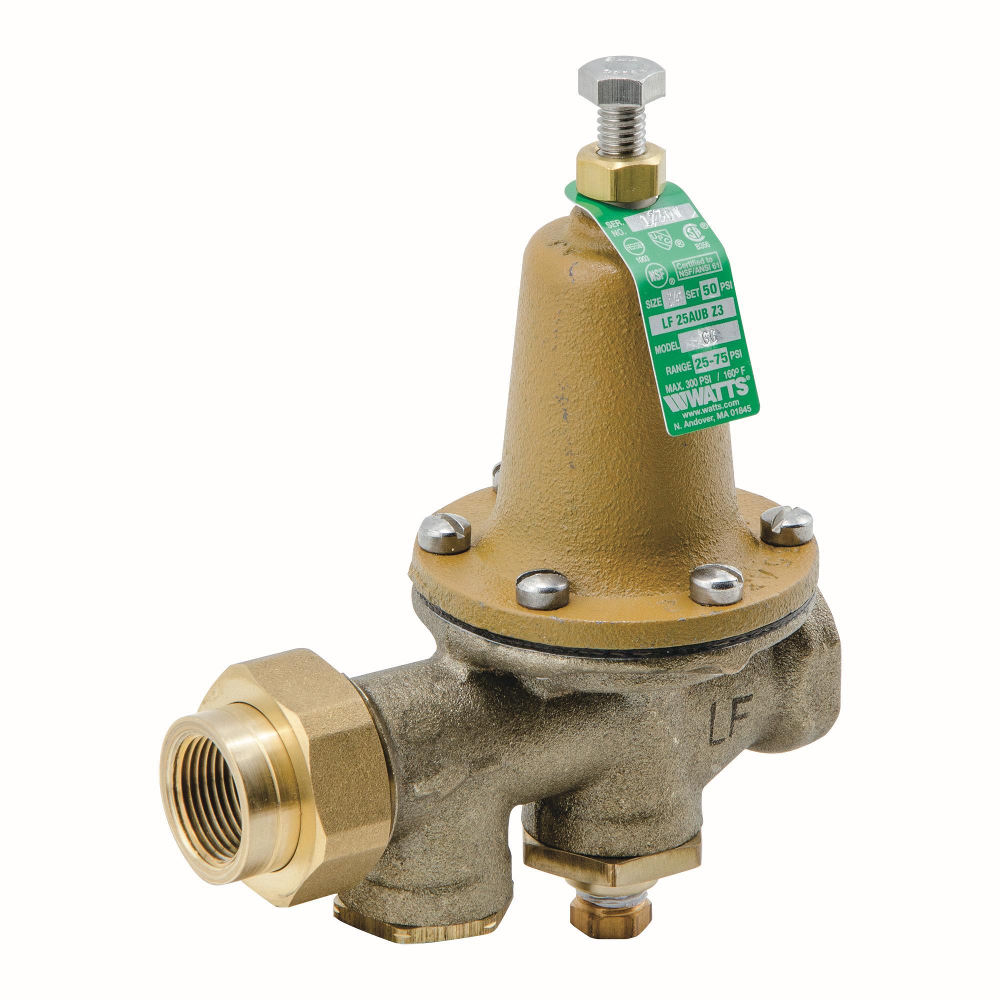 WATTS® 486704