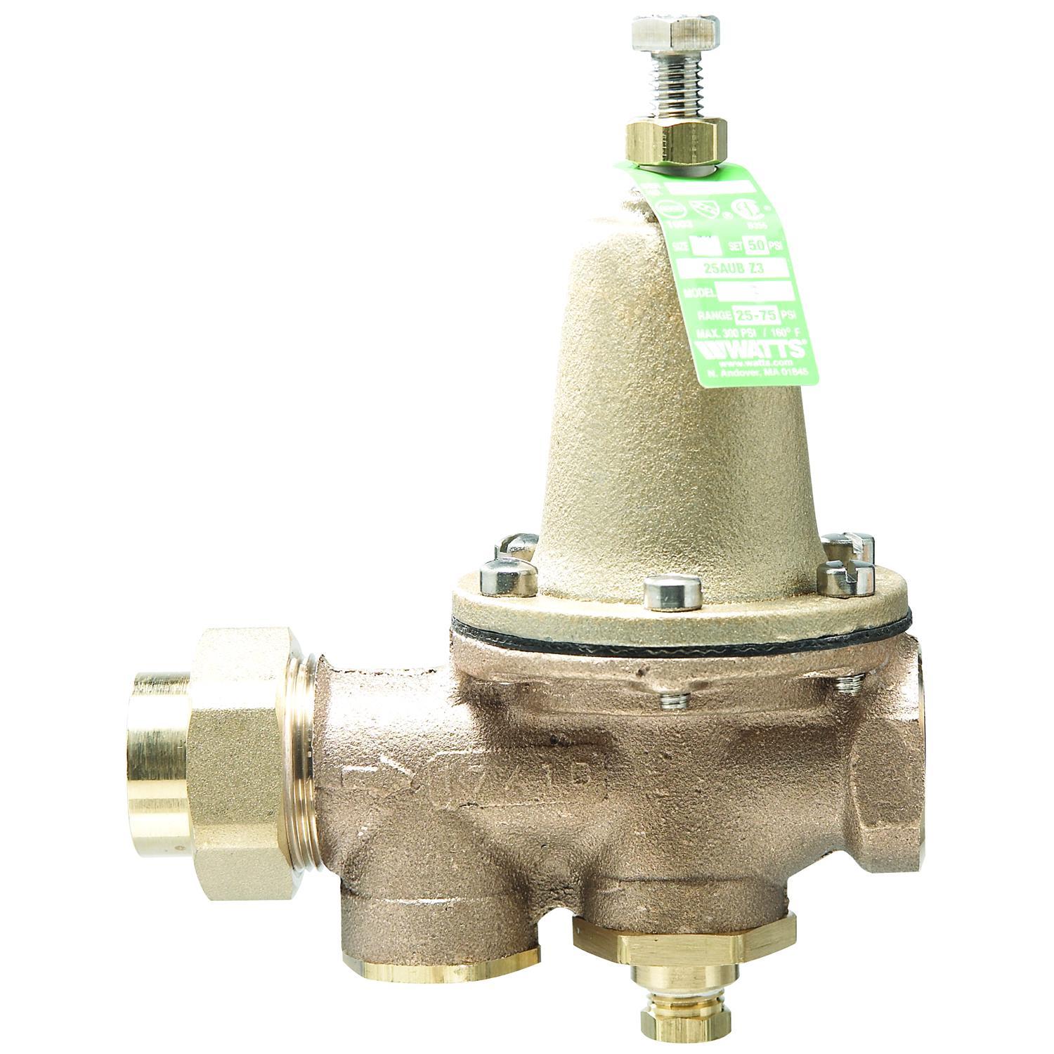 WATTS® 486704