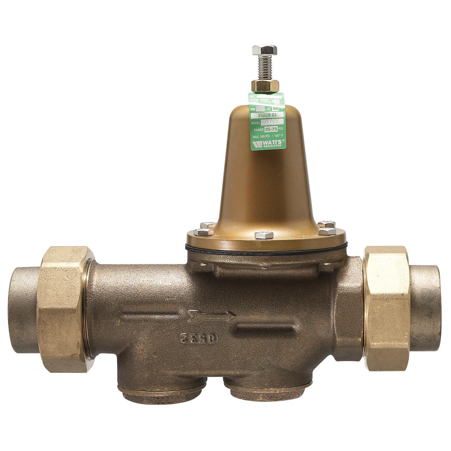 WATTS® 510875