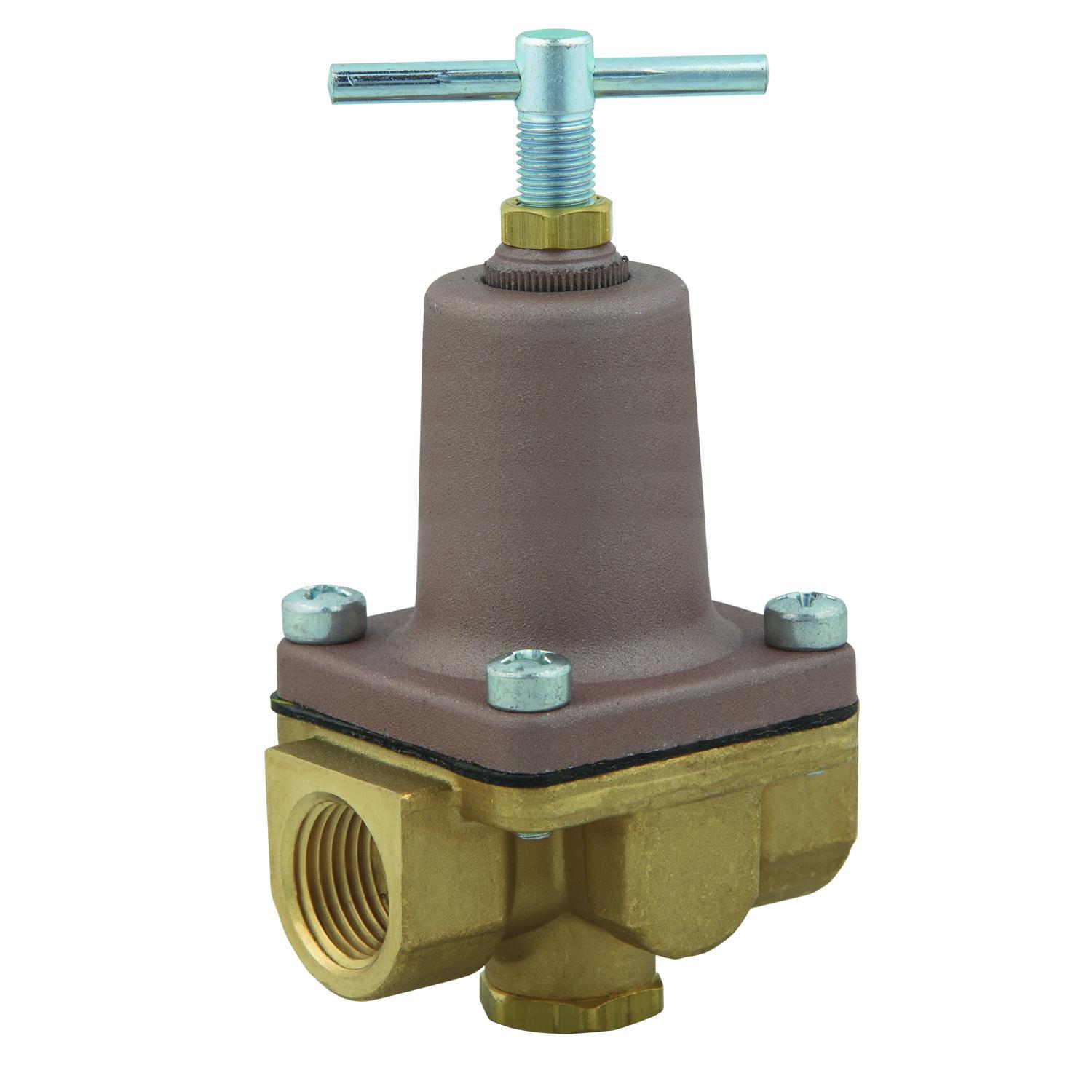 WATTS® 518996