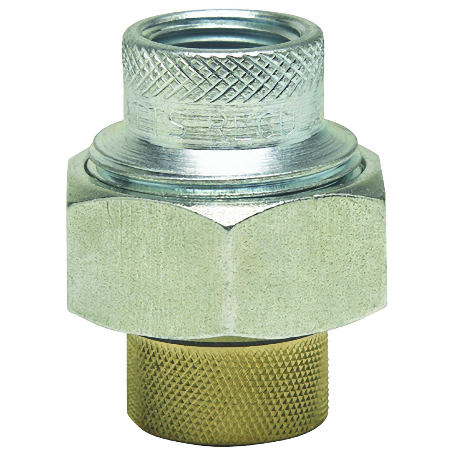 WATTS® 408152