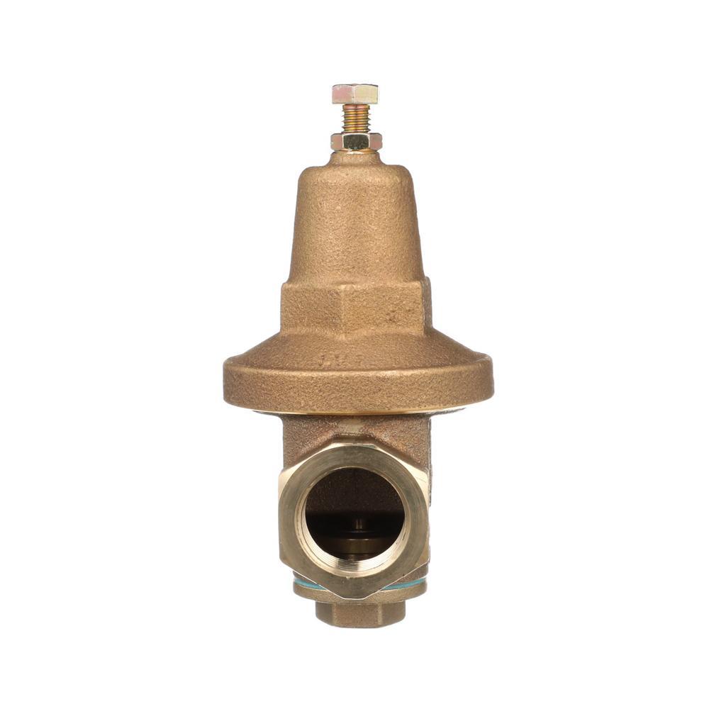 Zurn® Wilkins 444887