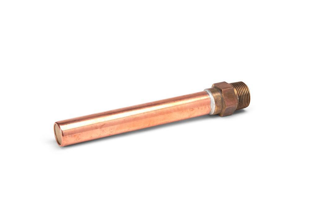 Zurn® Wilkins 437301