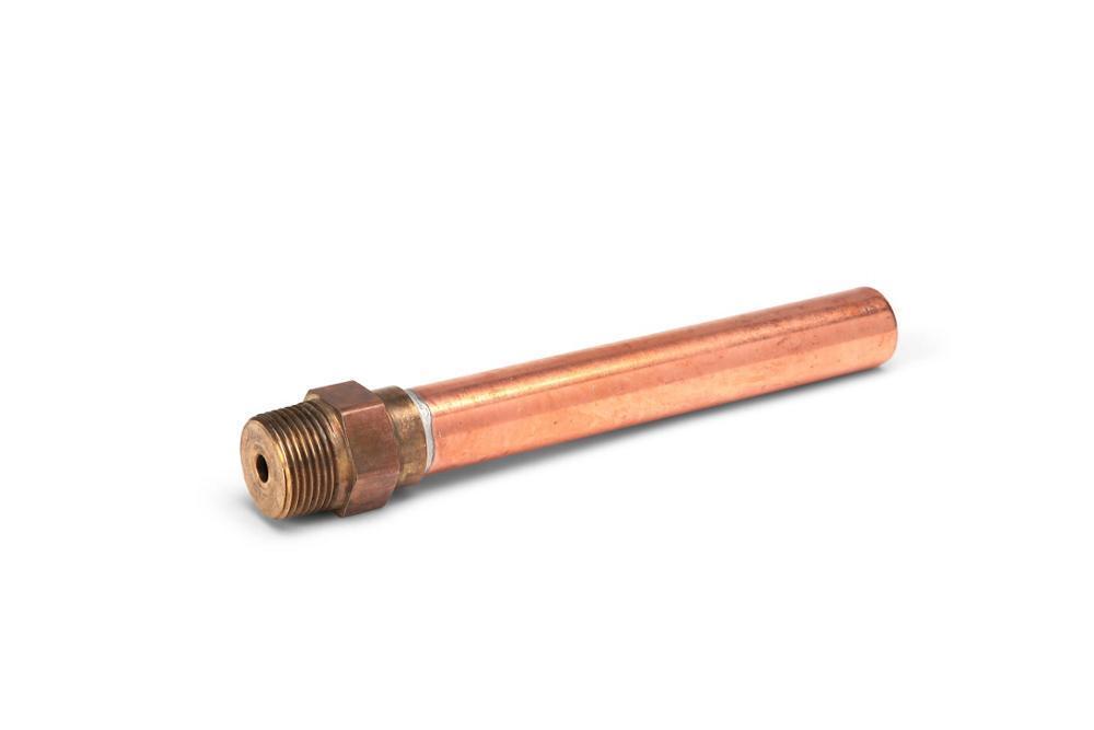 Zurn® Wilkins 437301