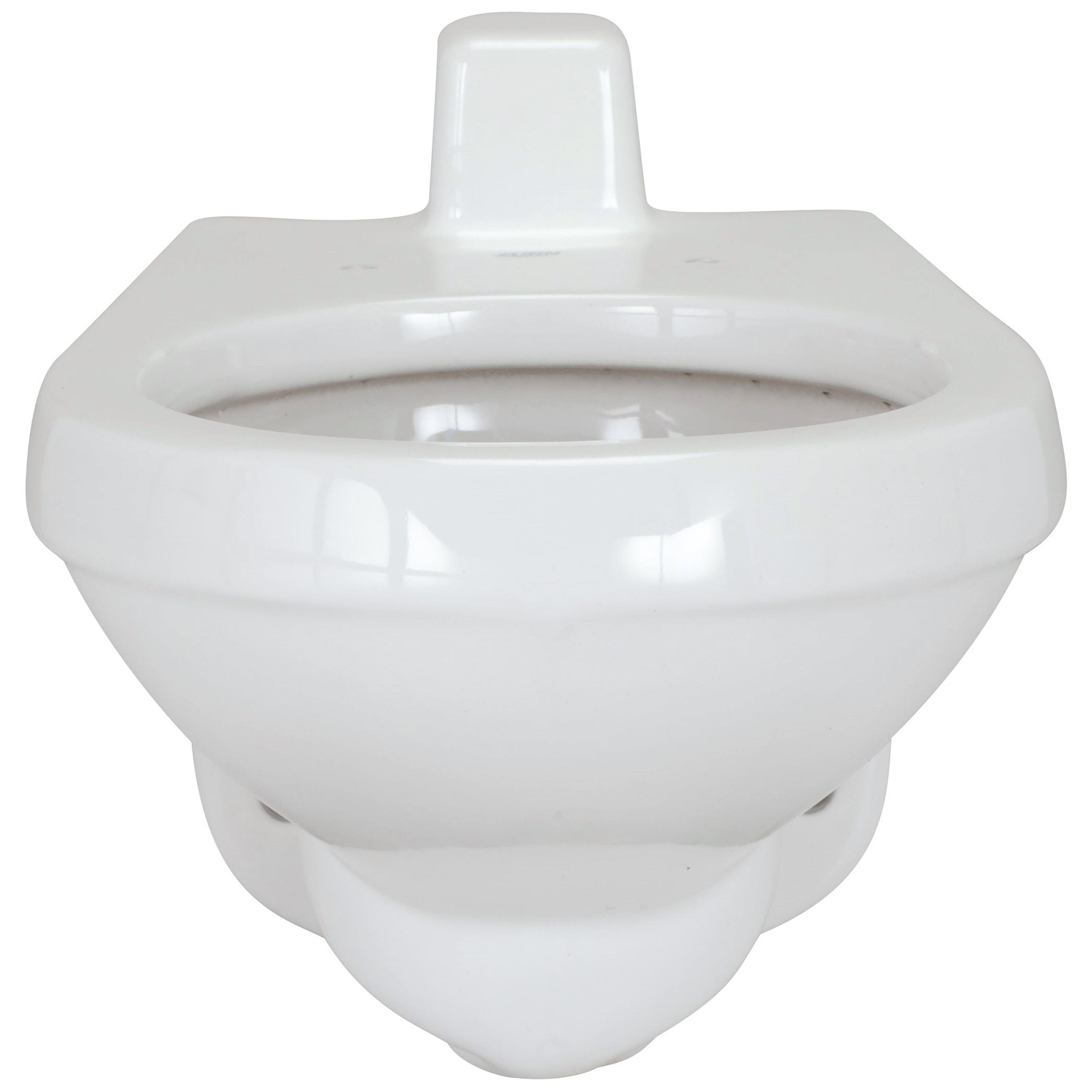 Zurn&reg; Z5617-BWL