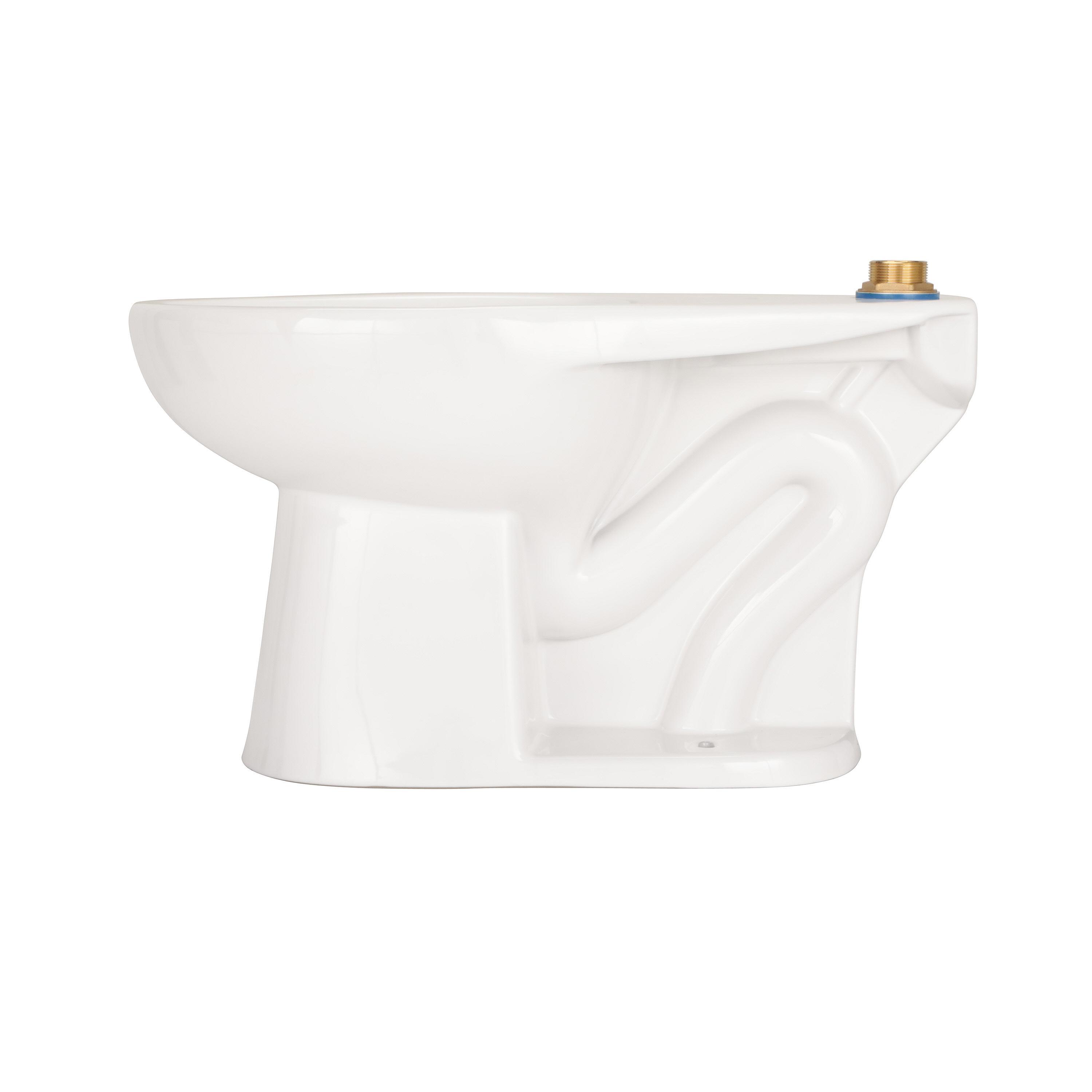Zurn&reg; Z5655-BWL1 109382
