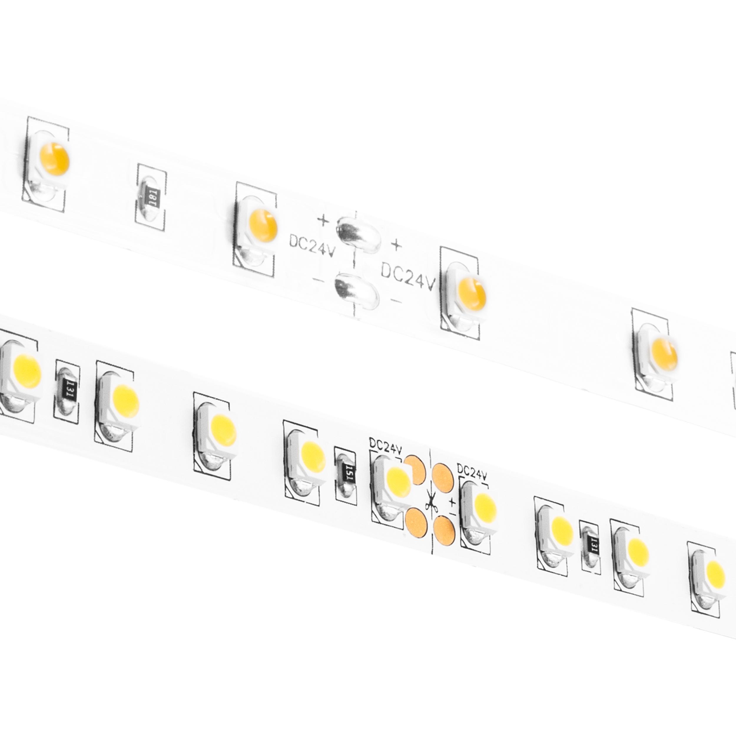 diode led® DI-24V-BLBSC2-30-016 487617