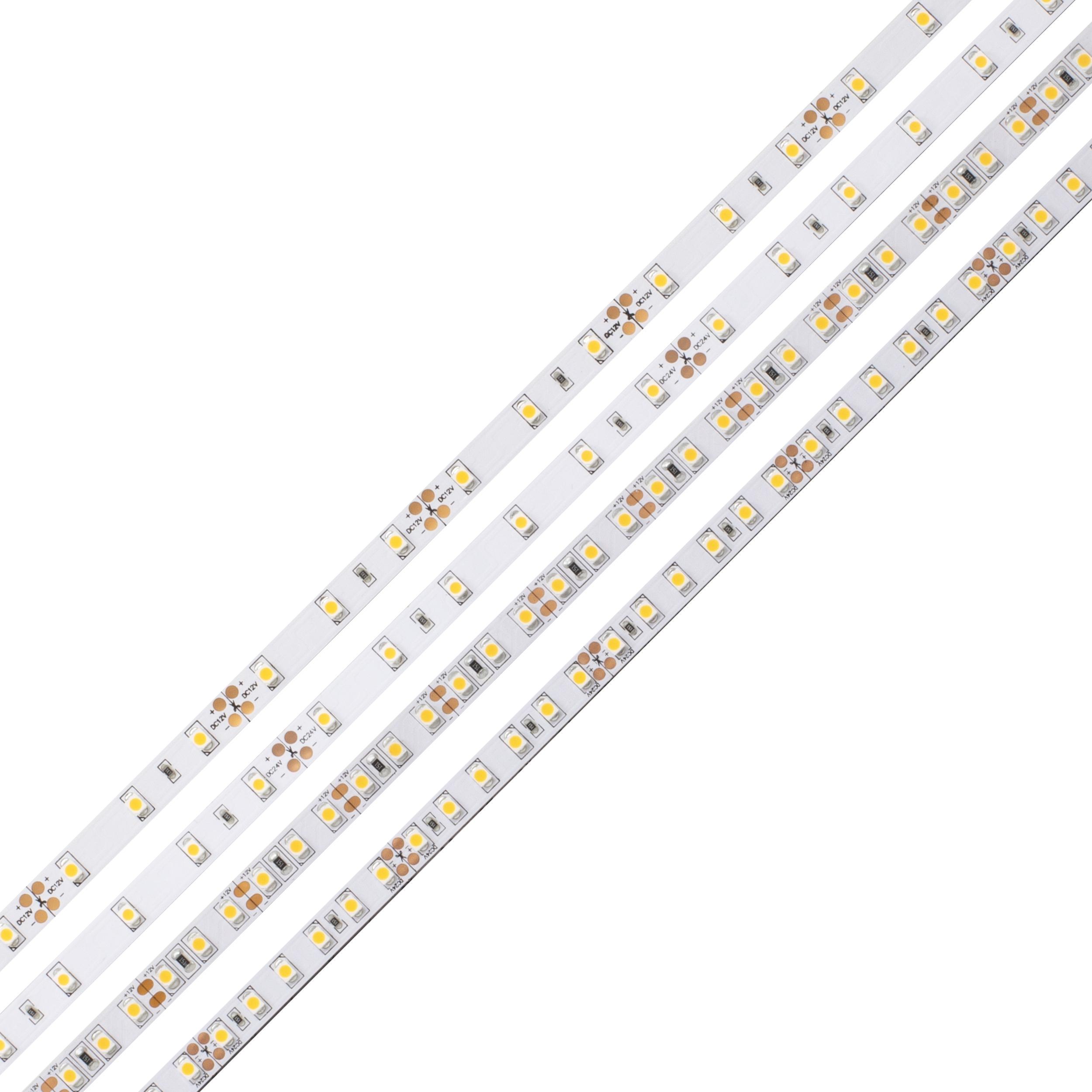 diode led® DI-24V-BLBSC2-30-016 487617